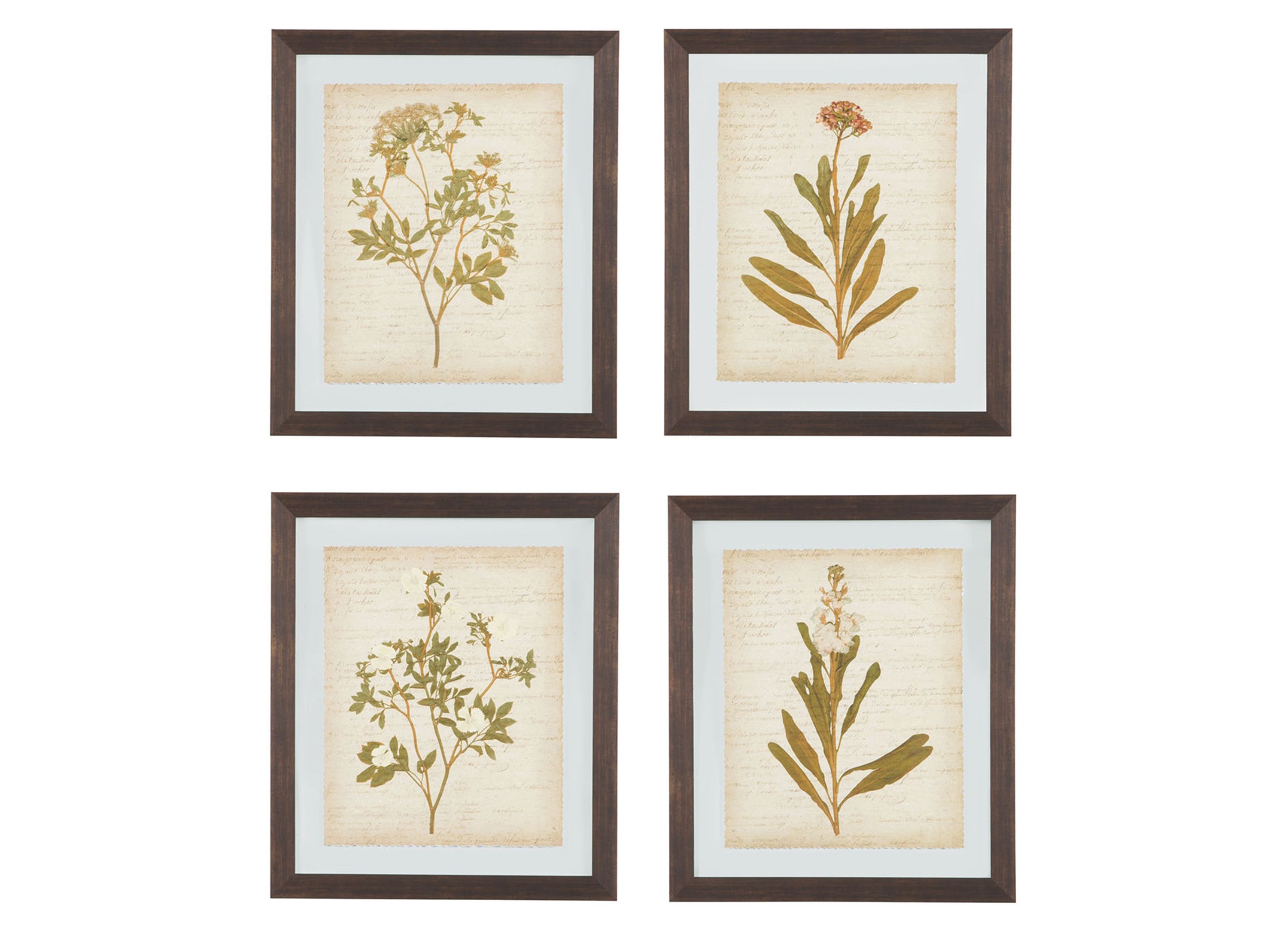 Dyani Wall Art Set | Raymour & Flanigan