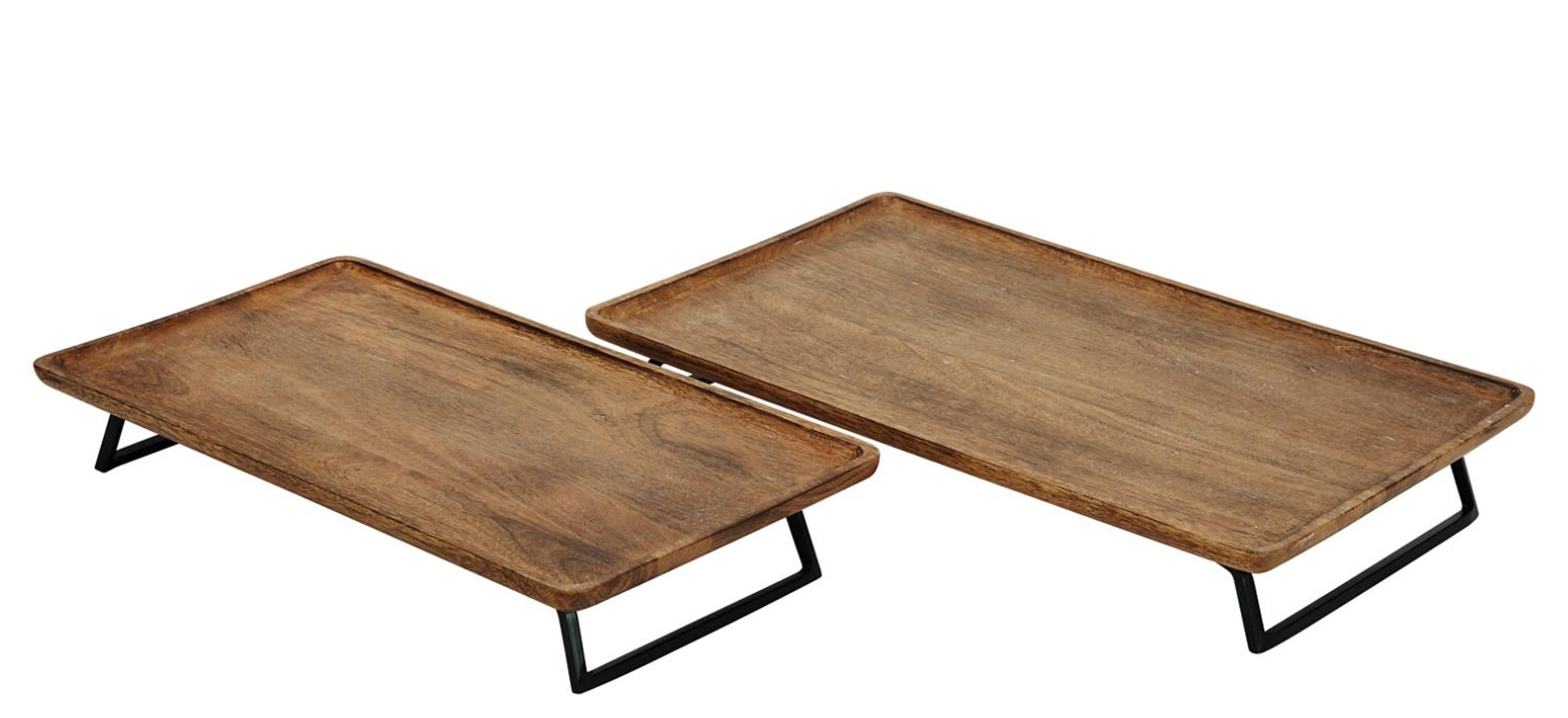 Kaleena Modern Tray - Set of 2