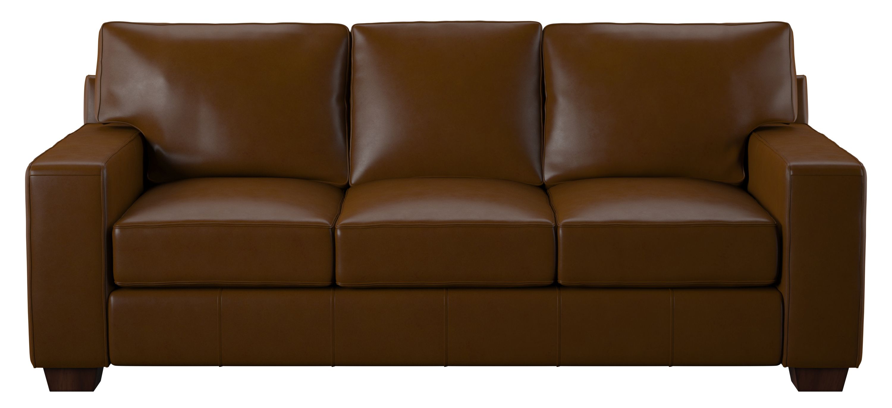 Anson Leather Sofa