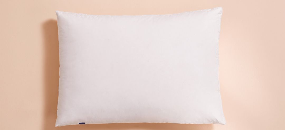 Casper Standard Down Pillow