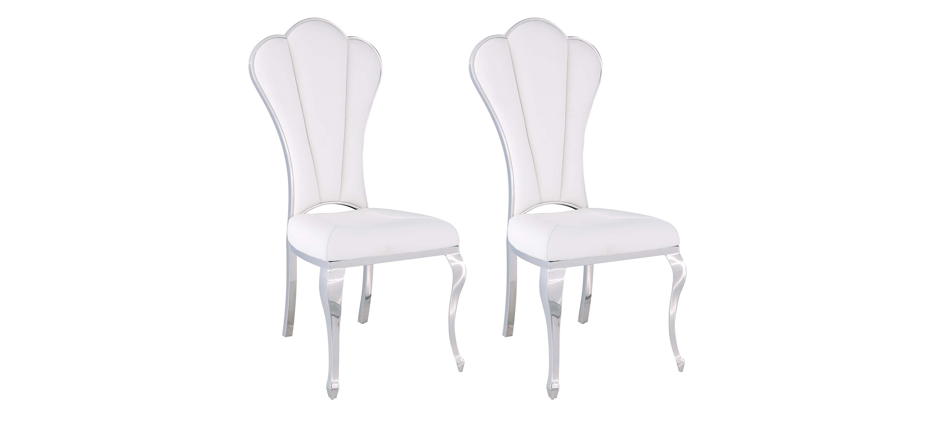 Raegan Dining Chair - Set of 2
