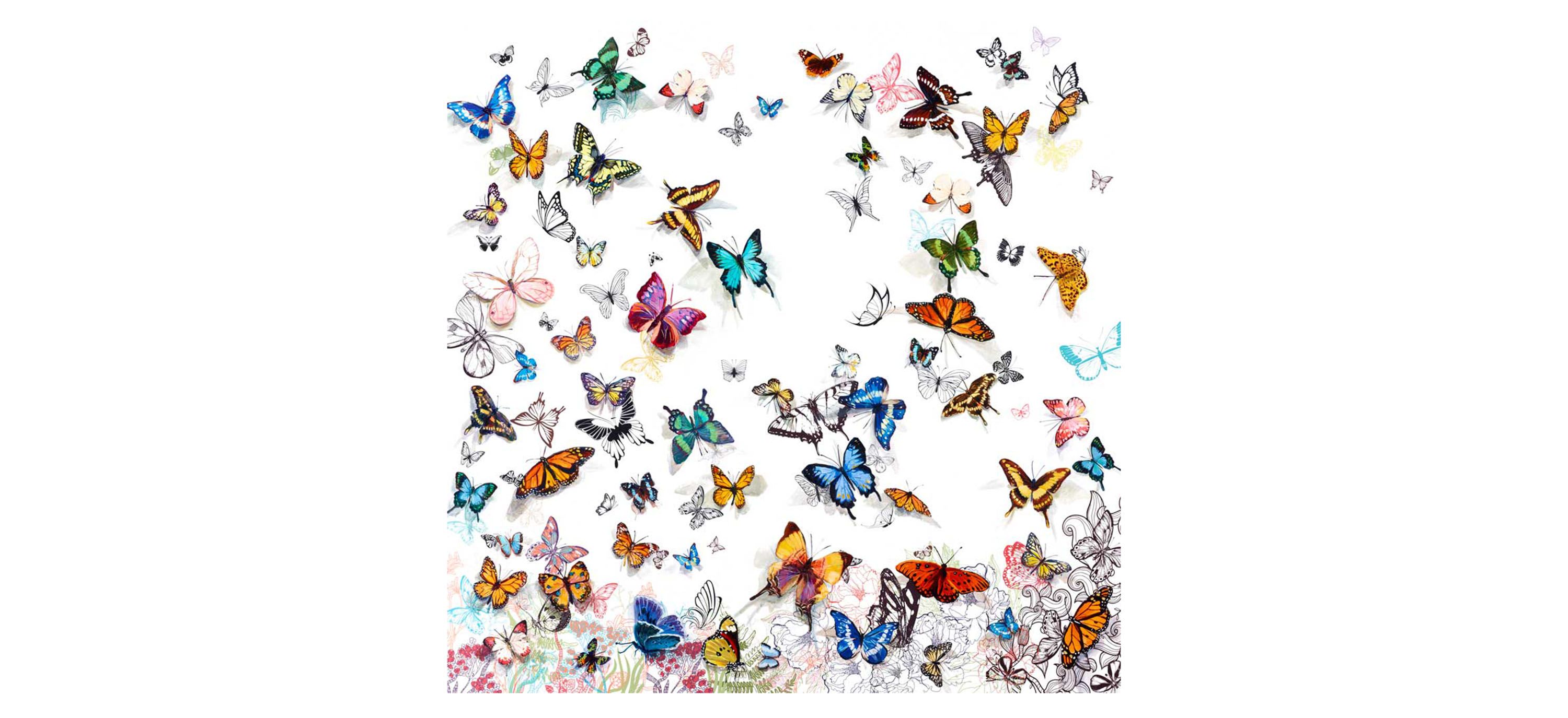 Papillon by Allyson Fukushima