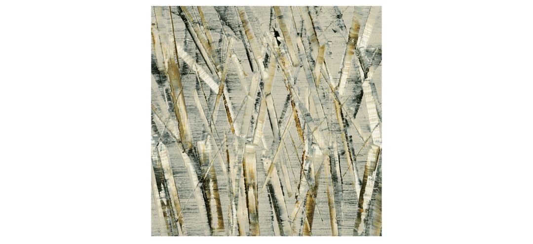 Birches V by Sharon Gordon