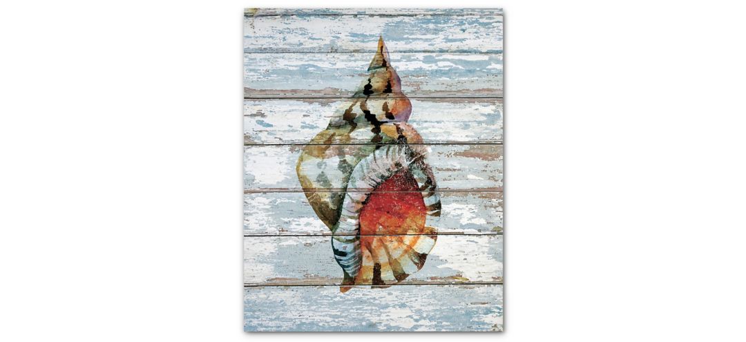 Seashell II Gallery Wrapped Canvas