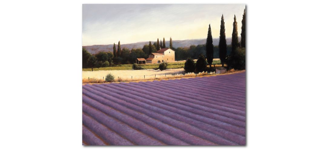 Lavender Fields II Gallery Wrapped Canvas