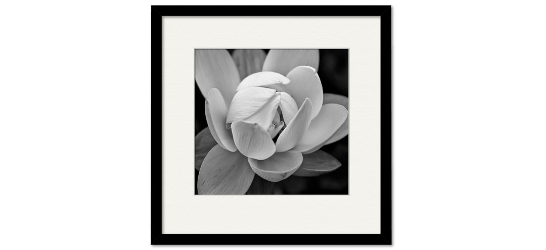 Black & White Gardia Framed Art