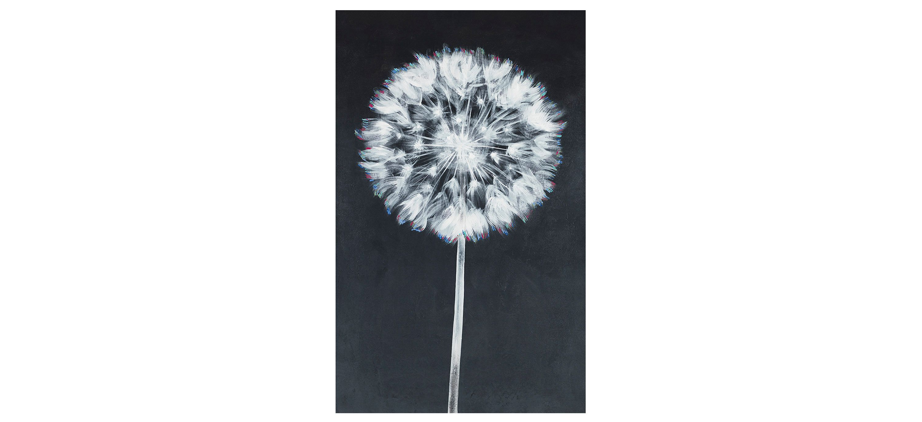Wish Before Blowing Wall Art