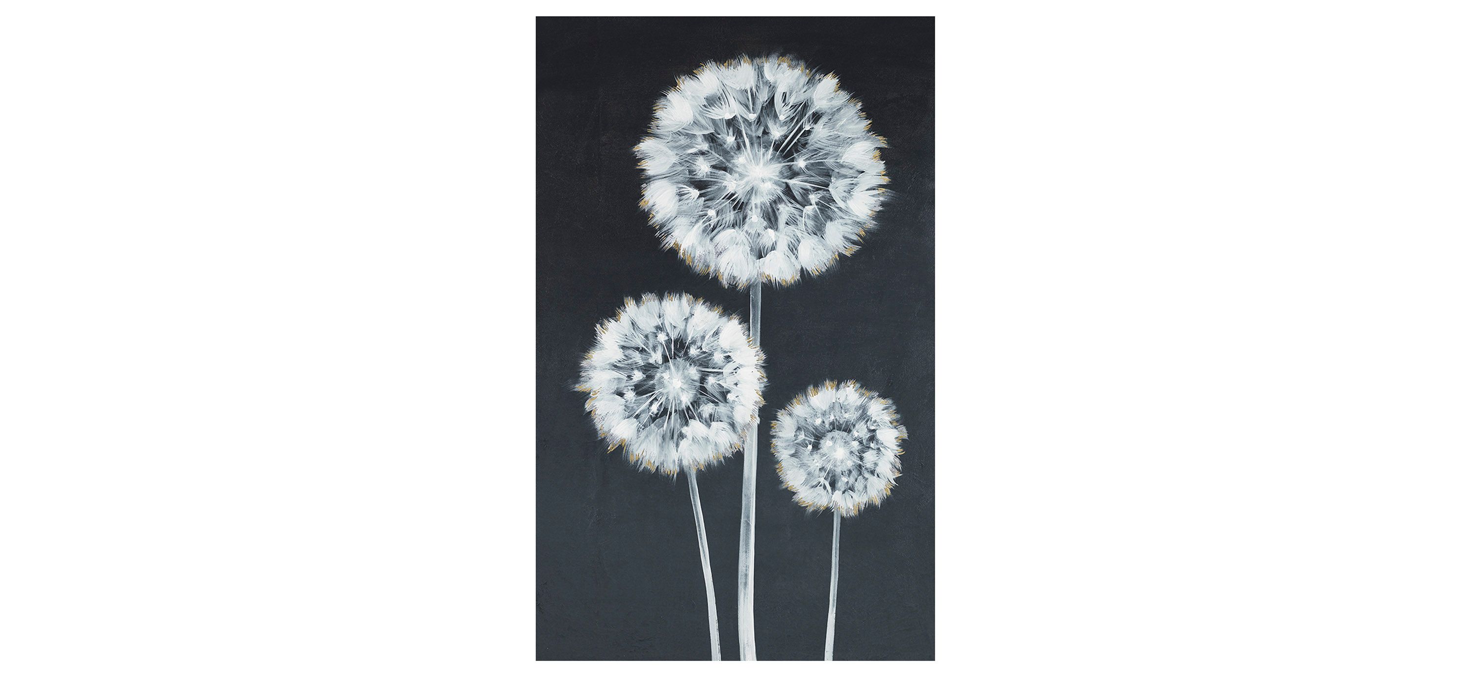Three Puffs to the Wind Wall Art