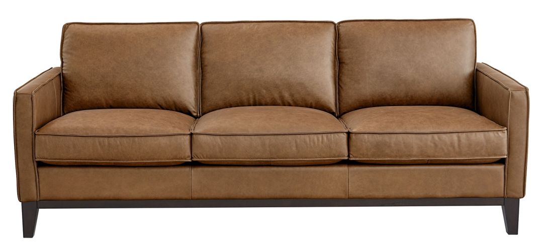 202363790 Roscoe Leather Sofa sku 202363790