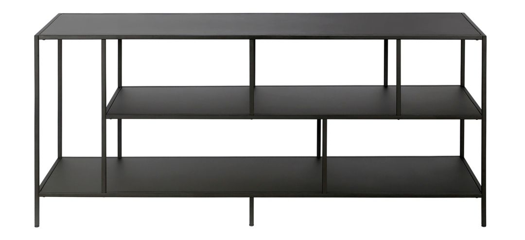 Winthrop 55 TV Stand with Metal Shelves