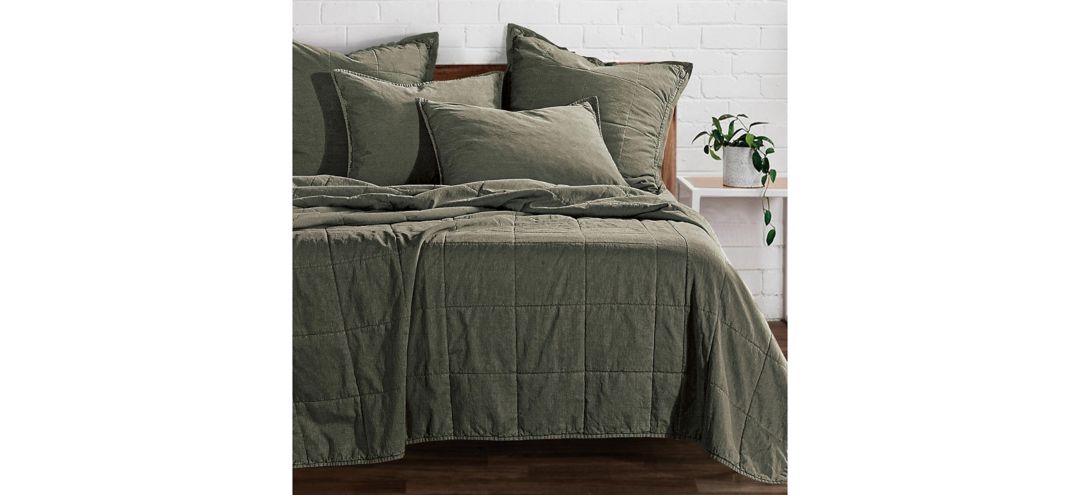 Detwyler 2-pc. Coverlet Set