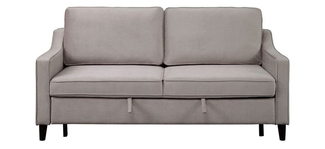 Dickinson Convertible Sofa