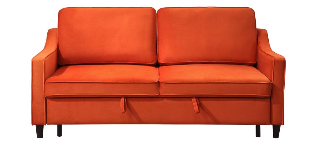 Dickinson Convertible Sofa