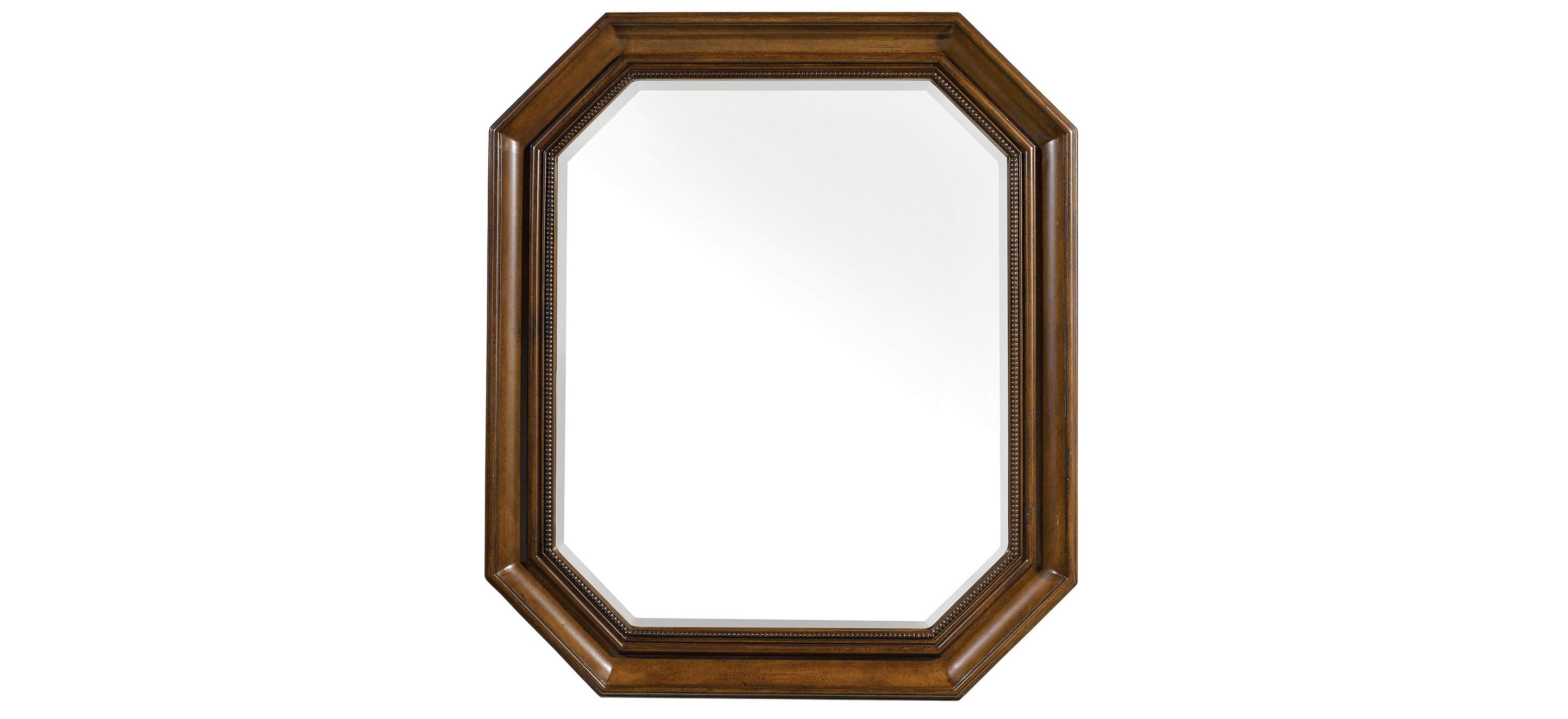 Archivist Portrait Mirror