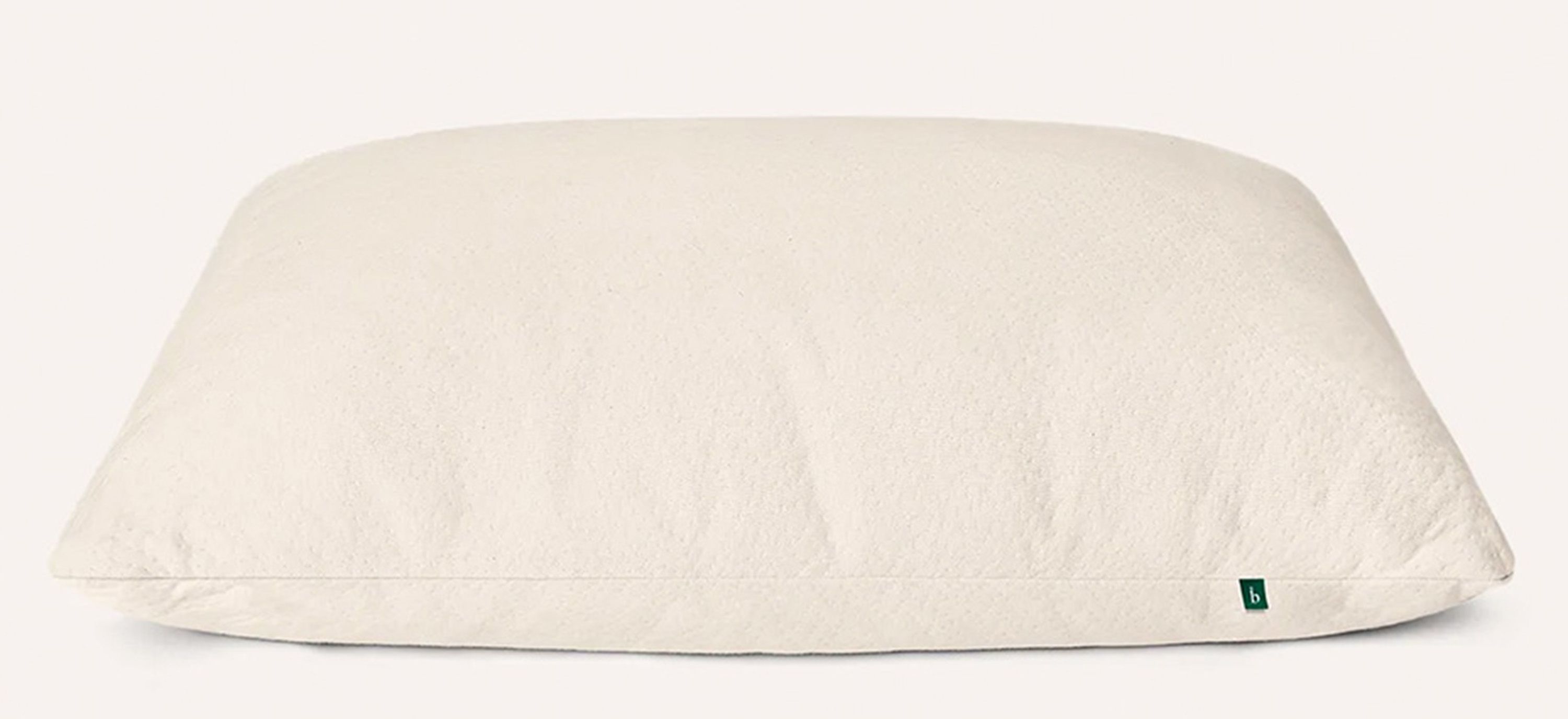 Birch Organic Pillow