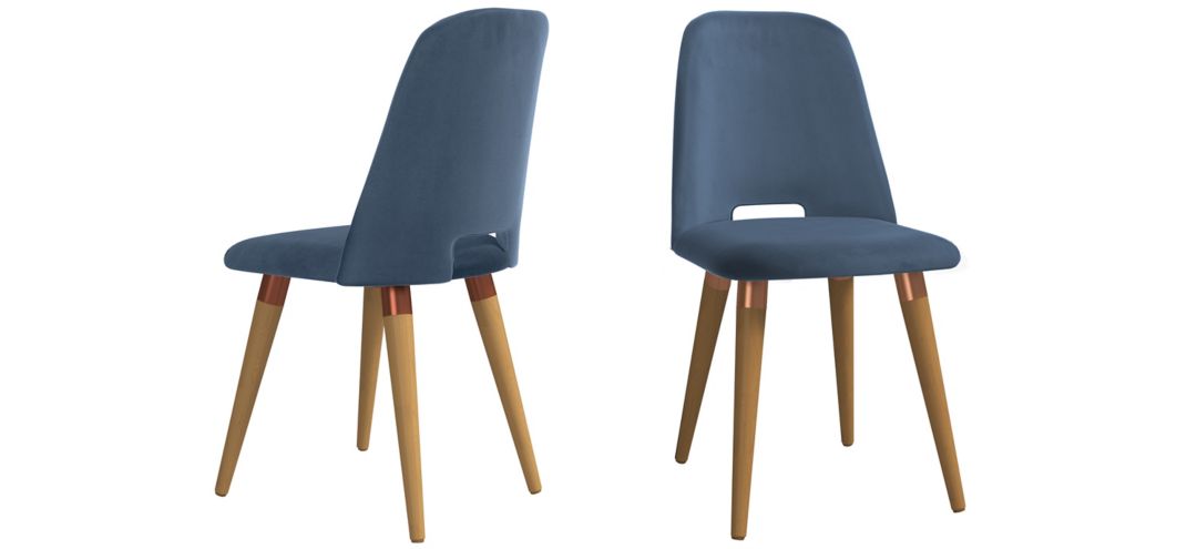 Selina Accent Chair (Set of 2)