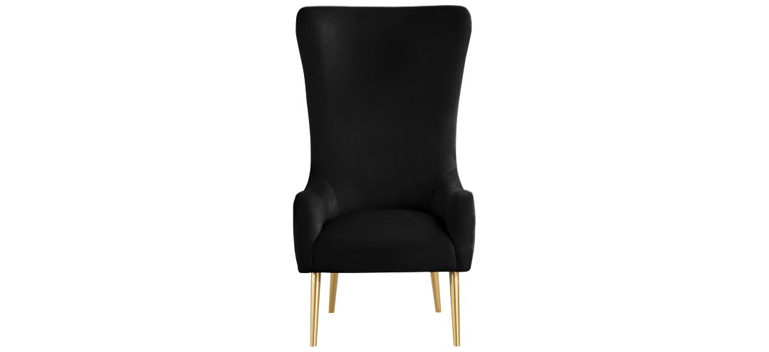 258253610 Alexander Velvet Accent Chair sku 258253610