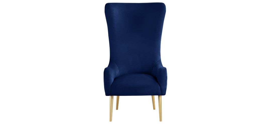 258253640 Alexander Velvet Accent Chair sku 258253640