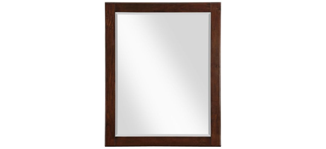 300218480 Maxine Brown Mirror sku 300218480