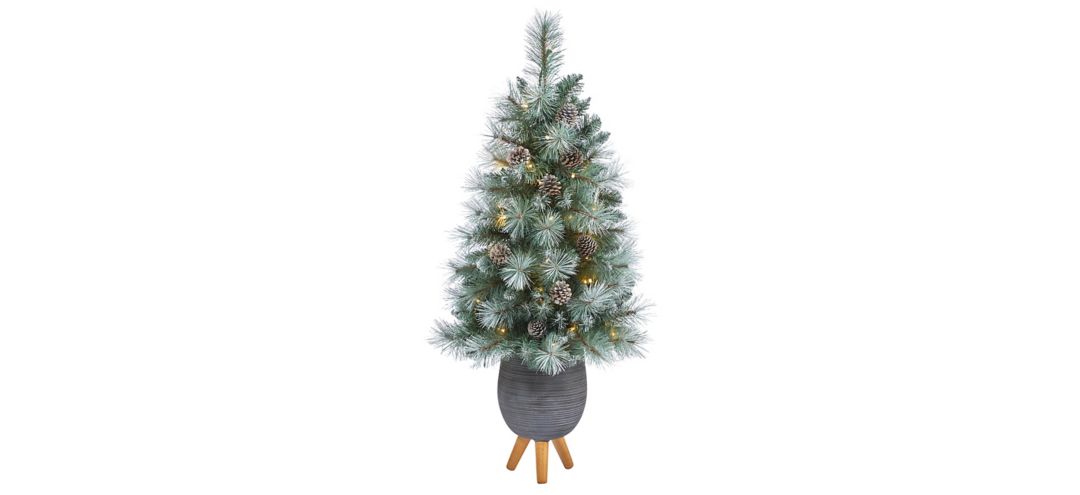 3.5' Pre-Lit Frosted Tip British Columbia Mountain Pine Artificial Tree