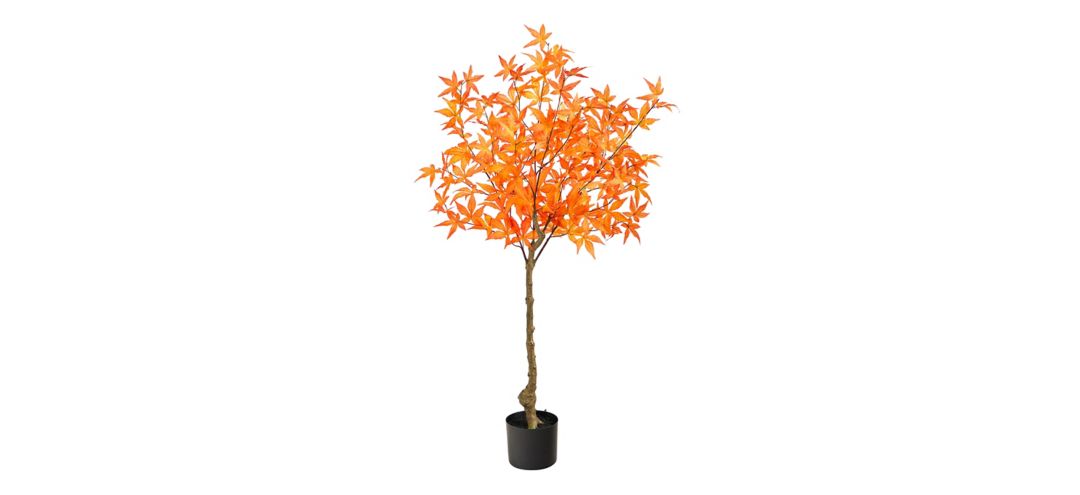 140027950 Fall foliage 4ft Harvest Maple Tree sku 140027950