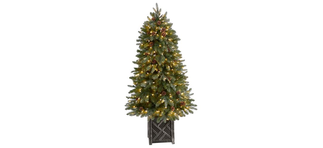 5' Pre-Lit Colorado Fir Flocked Dusted Artificial Tree