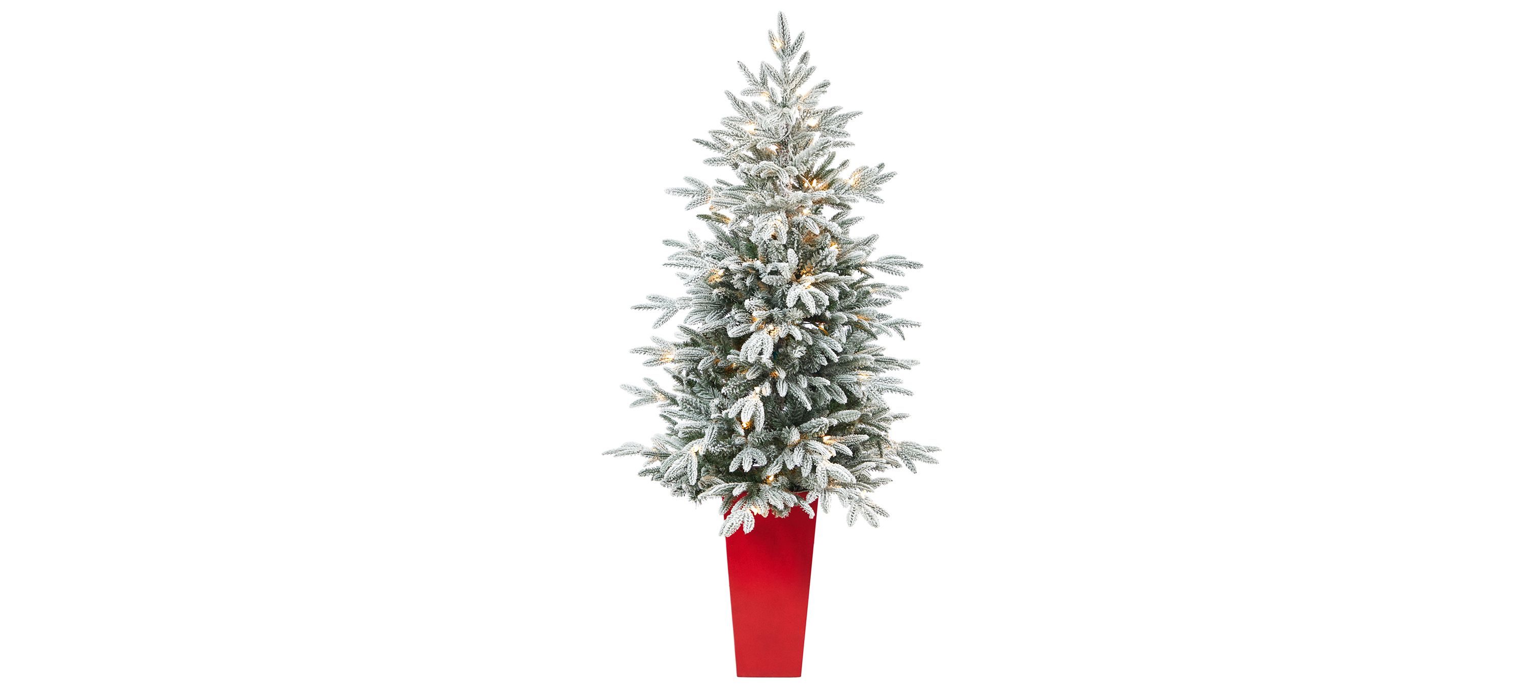 5 Pre-Lit Flocked Manchester Spruce Artificial Tree