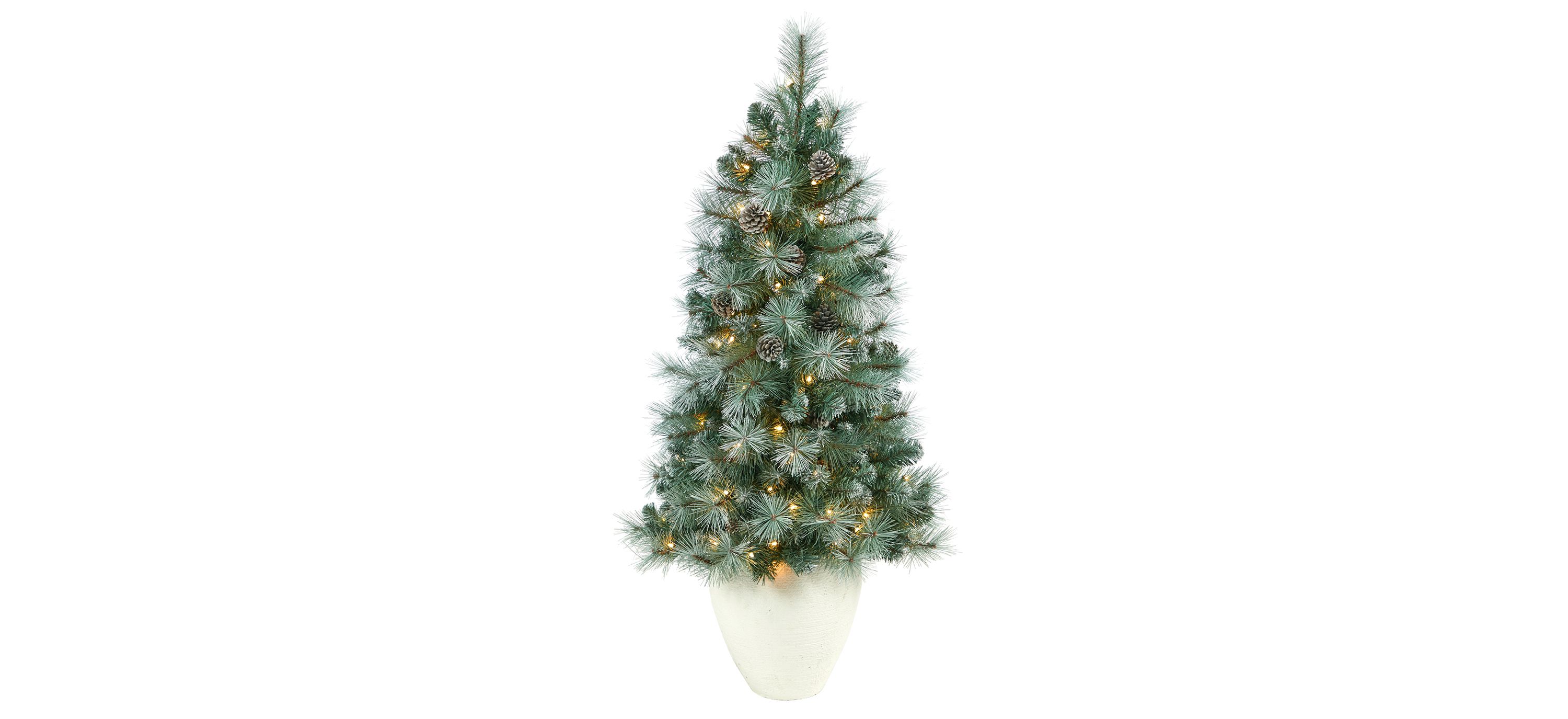 50 Pre-Lit Frosted Tip British Columbia Mountain Pine Artificial Tree