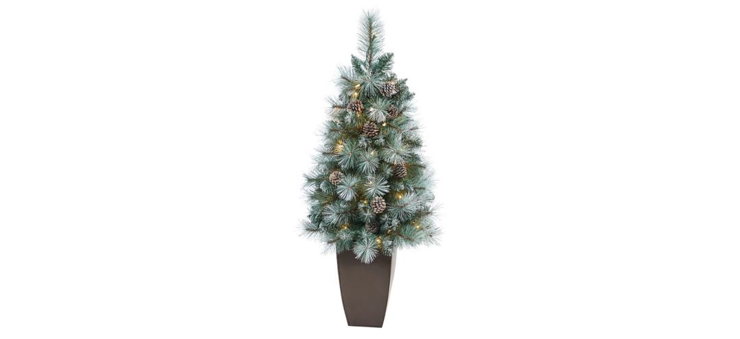 3.5 Pre-Lit Frosted Tip British Columbia Mountain Pine Artificial Tree