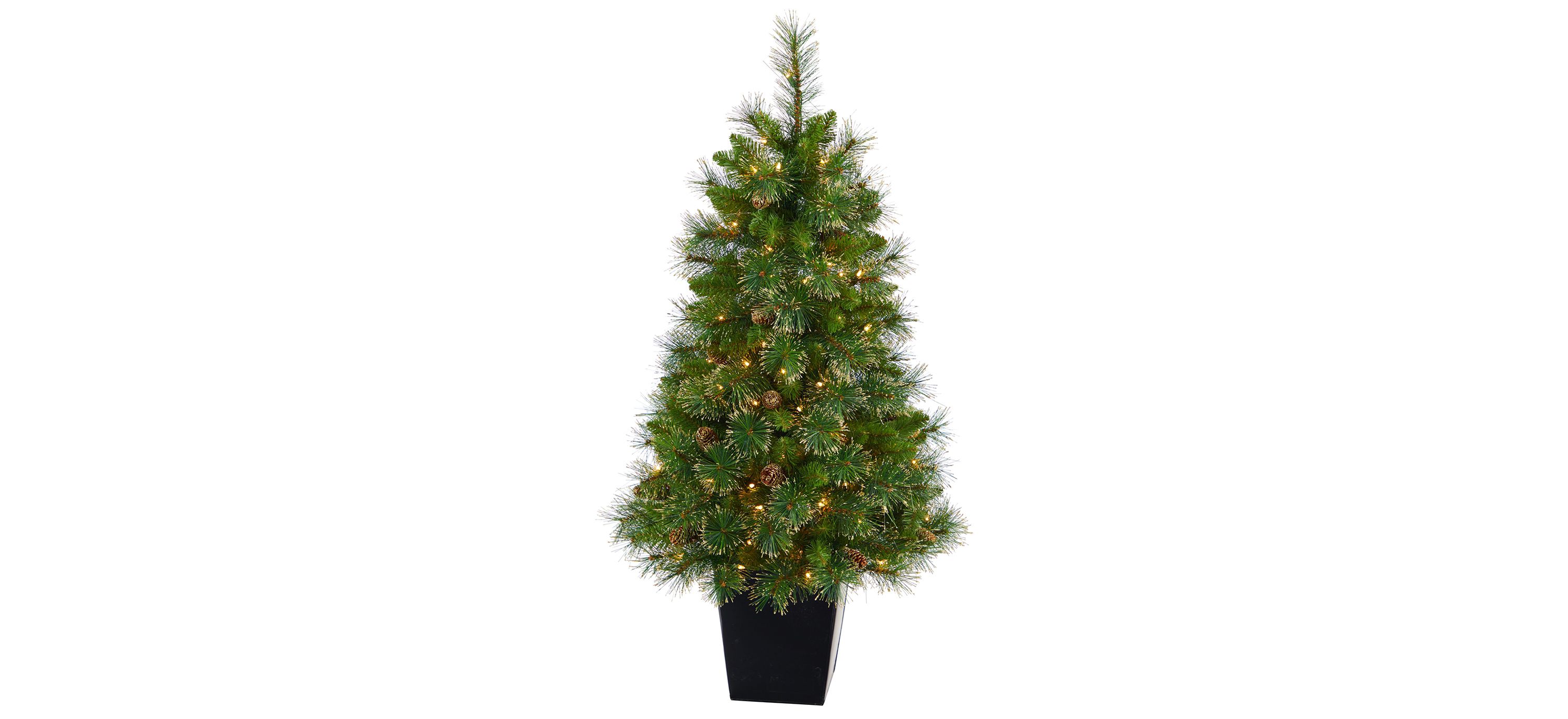 50 Pre-Lit Golden Tip Washington Pine Artificial Christmas Tree