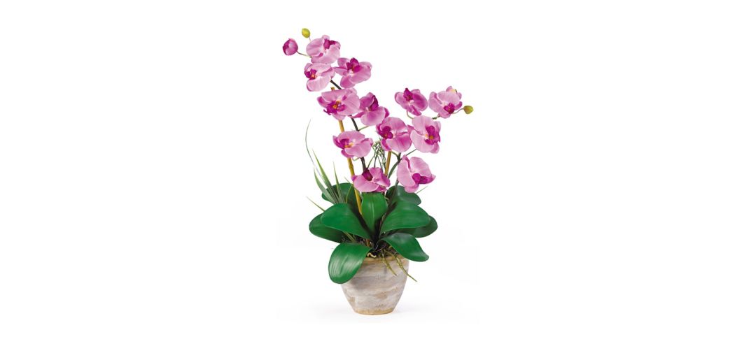 Double Phalaenopsis Silk Orchid Flower Artificial Arrangement
