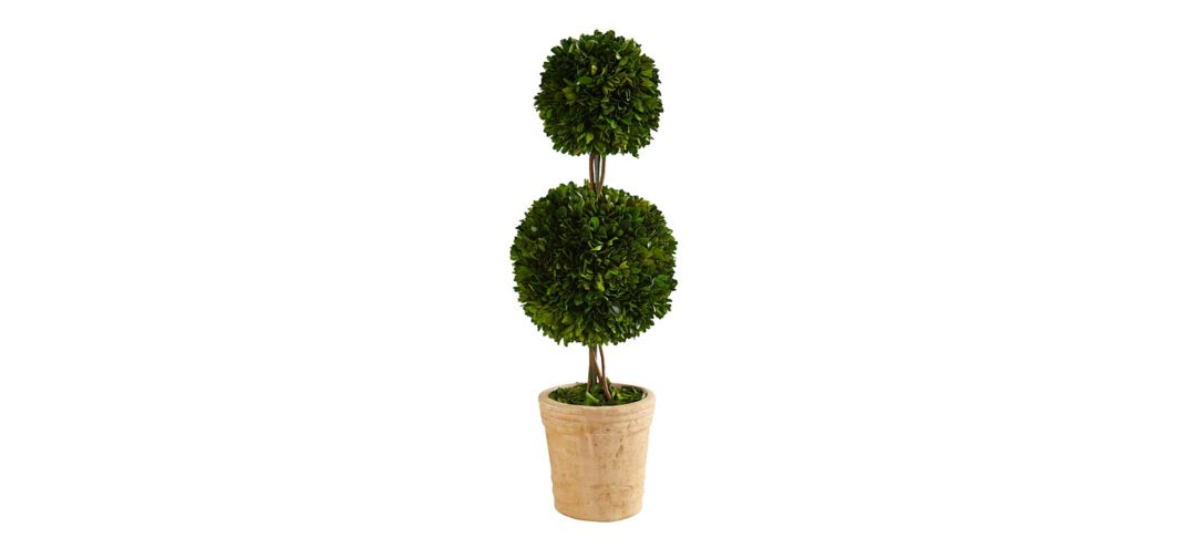 2.5ft. Preserved Boxwood Double Ball Topiary Tree in Decorative Planter