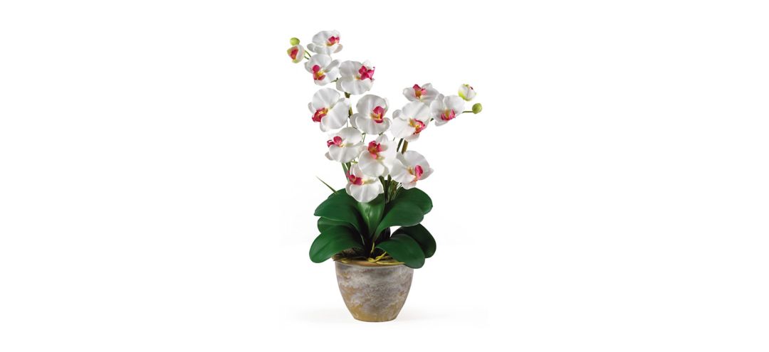 Double Phalaenopsis Silk Orchid Flower Artificial Arrangement