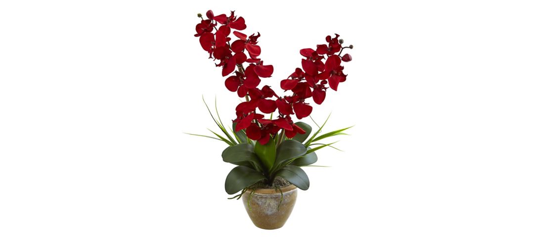 1514-RD Double Phalaenopsis Silk Orchid Arrangement in Cer sku 1514-RD