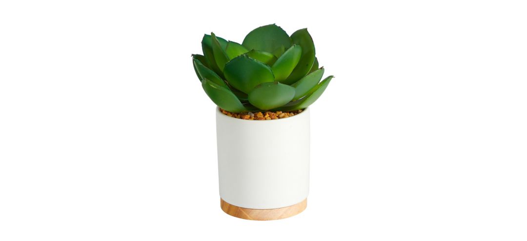 6in. Succulent Artificial Plant in White Ceramic Planter