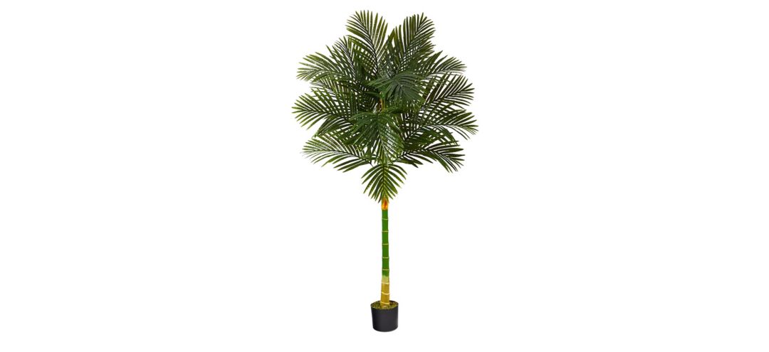 6ft. Golden Cane Artificial Palm Tree