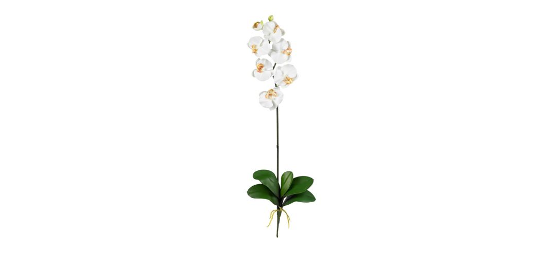 Phalaenopsis Artificial Stem (Set of 12)