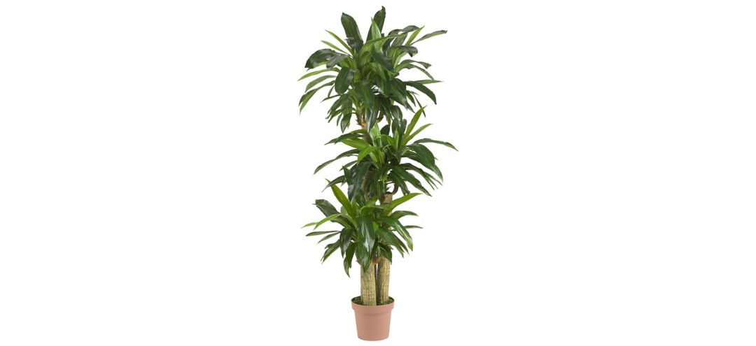 Corn Stalk Dracaena Artificial Plant