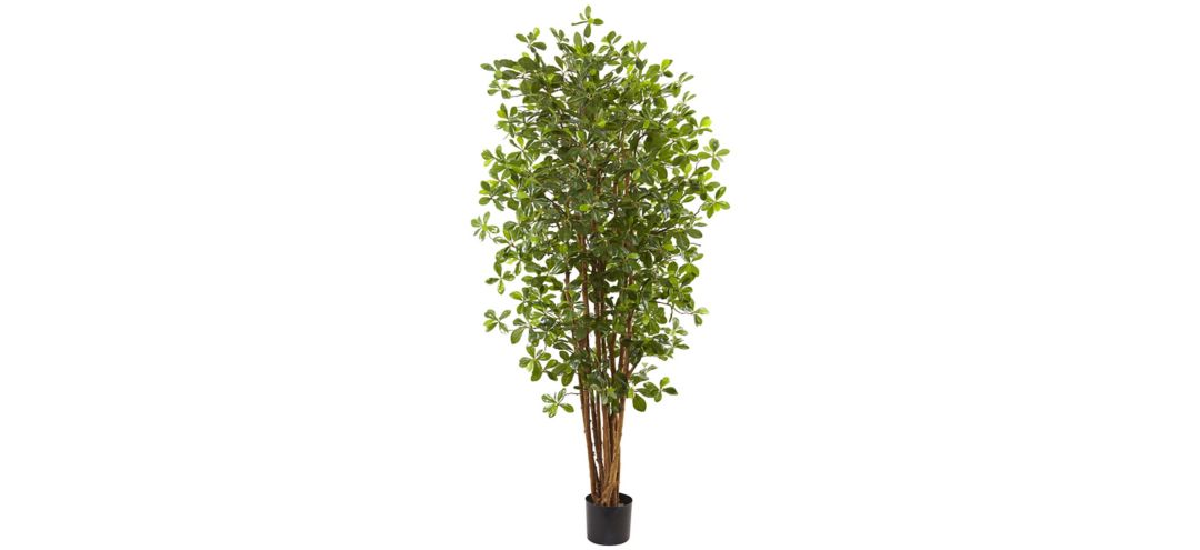 Black Olive Artificial Tree