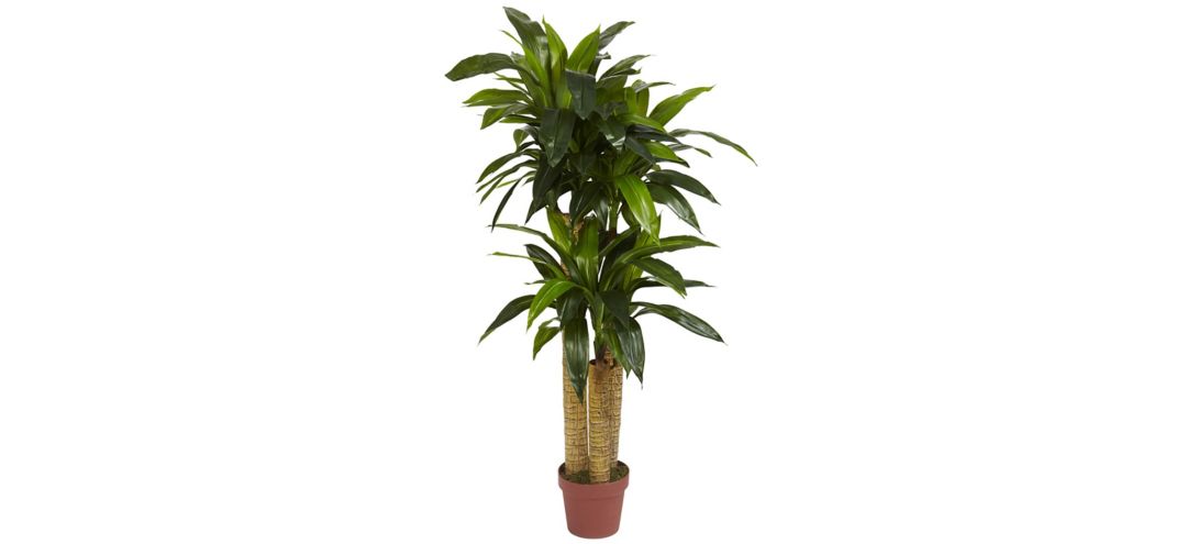 Corn Stalk Dracaena Artificial Plant