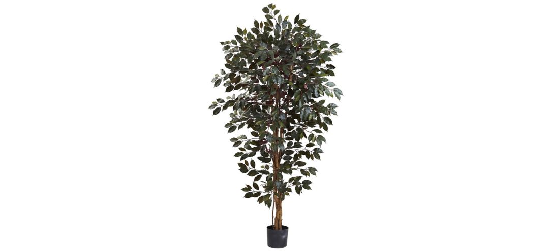 Capensia Ficus Artificial Tree