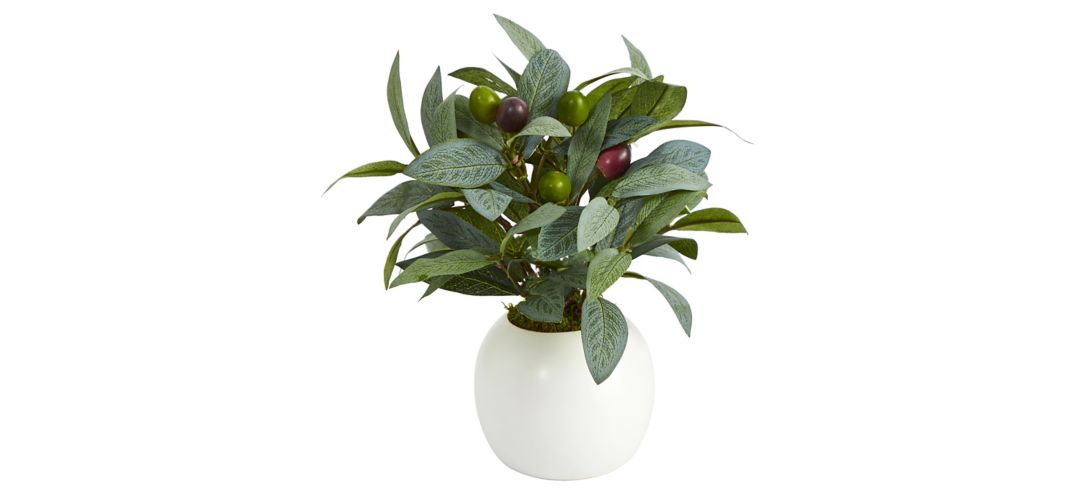 Olive Artificial Plant in White Planter