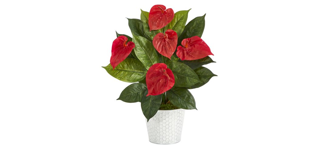 Anthurium Artificial Plant in Embossed White Planter