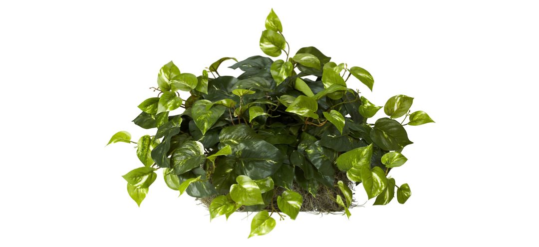 140127400 Pothos Ledge Plant (Set on Foam) Silk Plant sku 140127400