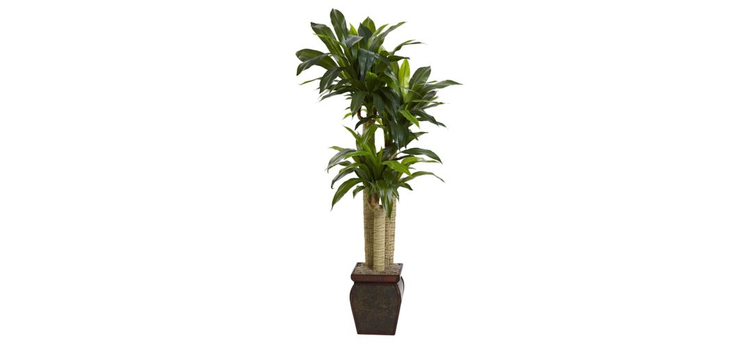 Cornstalk Dracaena Silk Plant with Vase