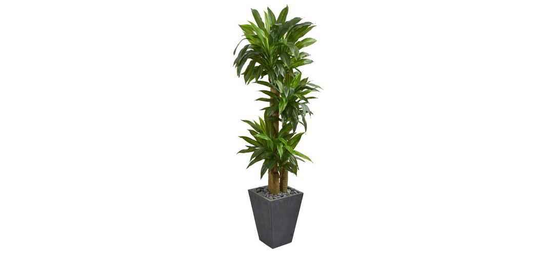 140127480 Cornstalk Dracaena Artificial Plant in Slate Plant sku 140127480