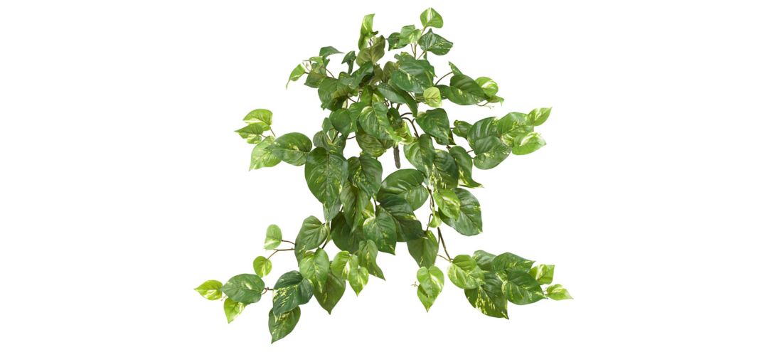 140127490 Pothos Hanging Bush: Set of 3 sku 140127490