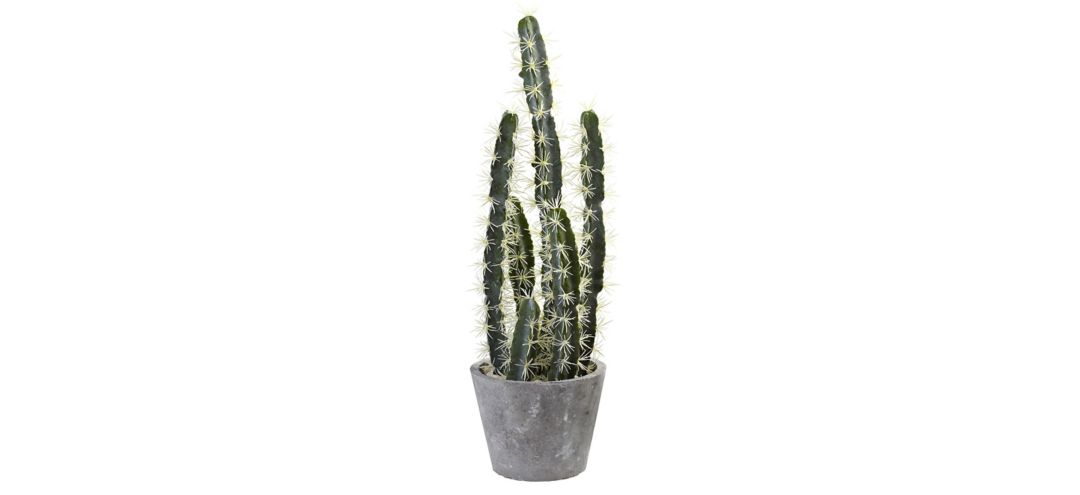 140127530 Decorative Cactus Garden with Cement Planter sku 140127530