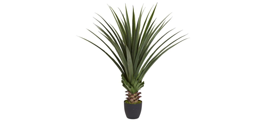 140127600 Spiked Agave Plant sku 140127600