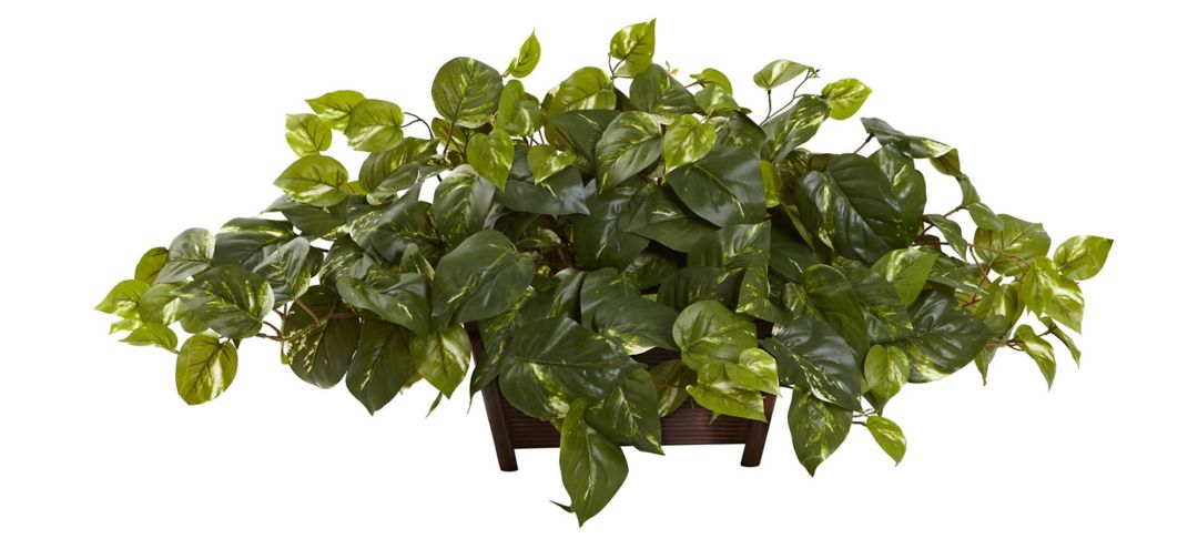 140127620 Pothos with Rectangle Decorative Planter sku 140127620